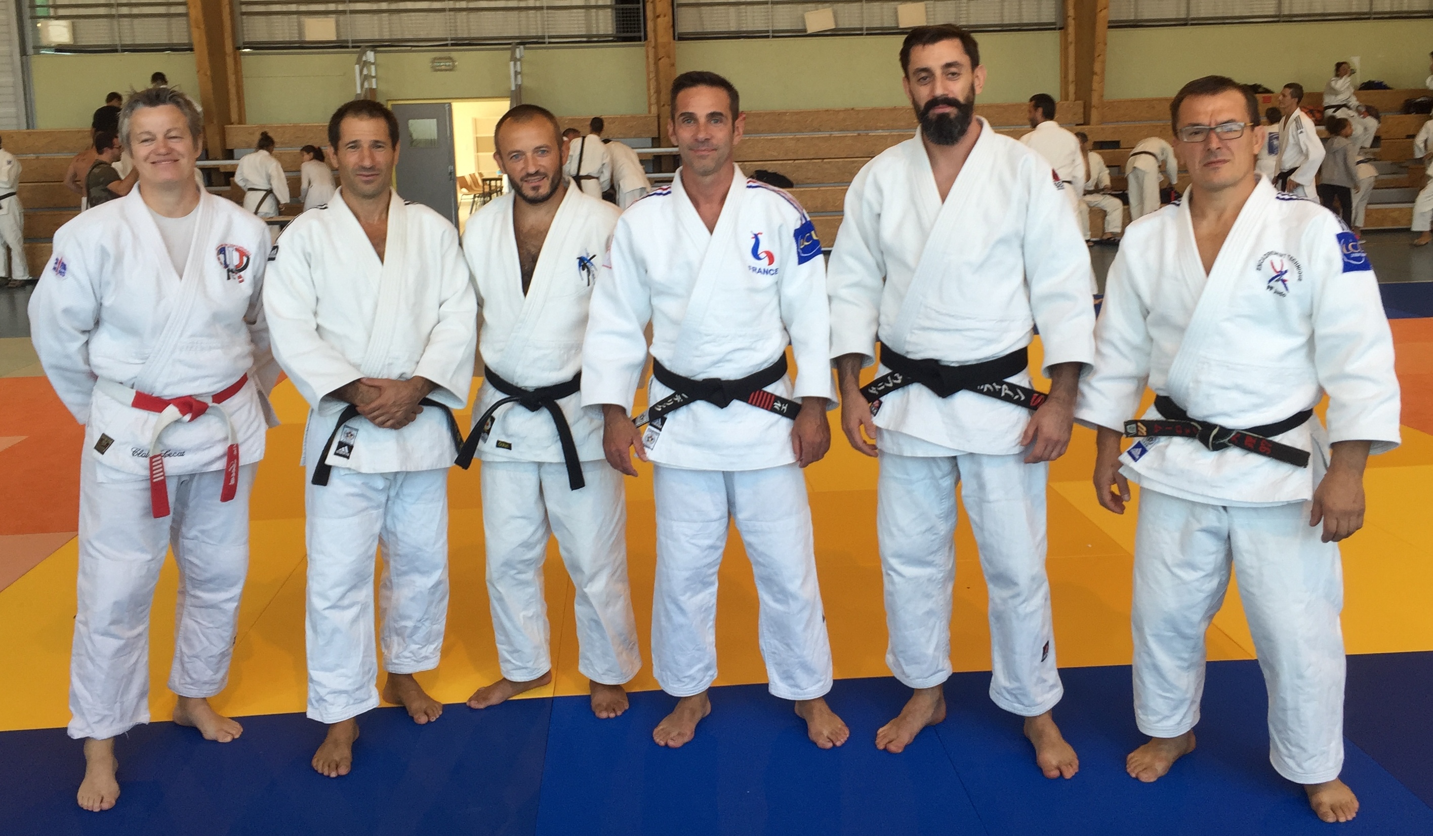 club judo domarin